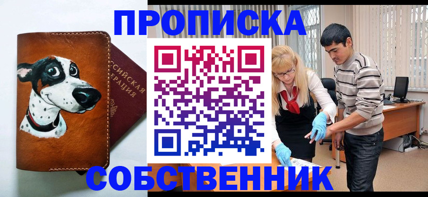 временная регистрация гарантия в Курской области